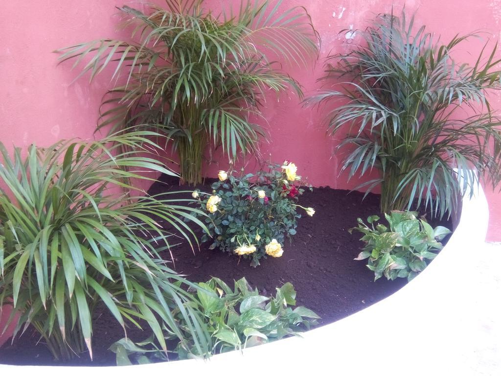 Casa Mazejuwi Otel Campeche Dış mekan fotoğraf
