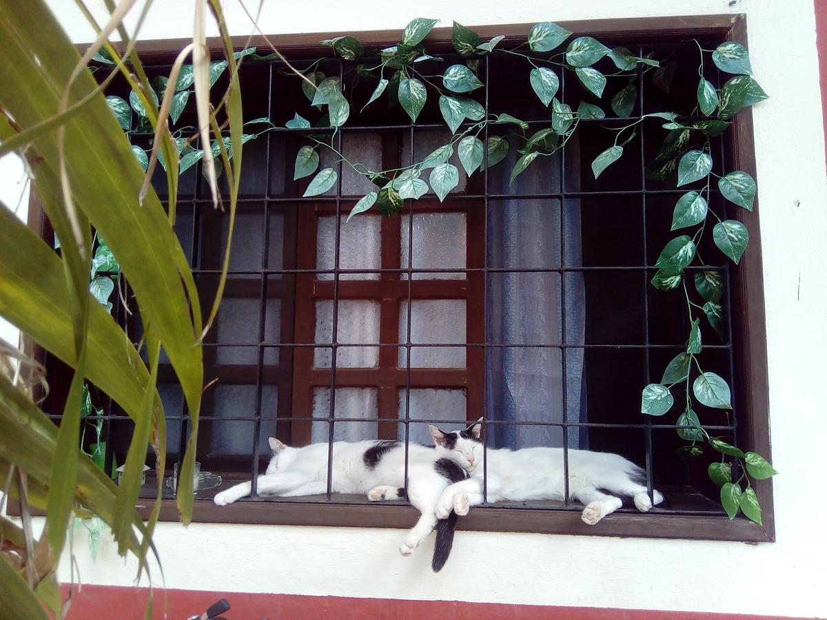 Casa Mazejuwi Otel Campeche Dış mekan fotoğraf